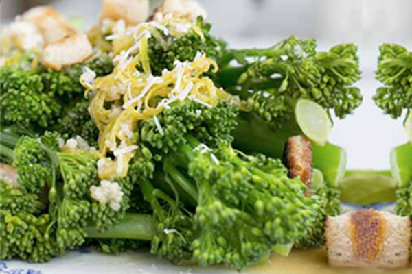 Broccoli Fruit and Vegetable Market Prices South Africa