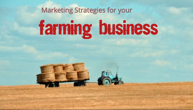 Strategy and Marketing Farming