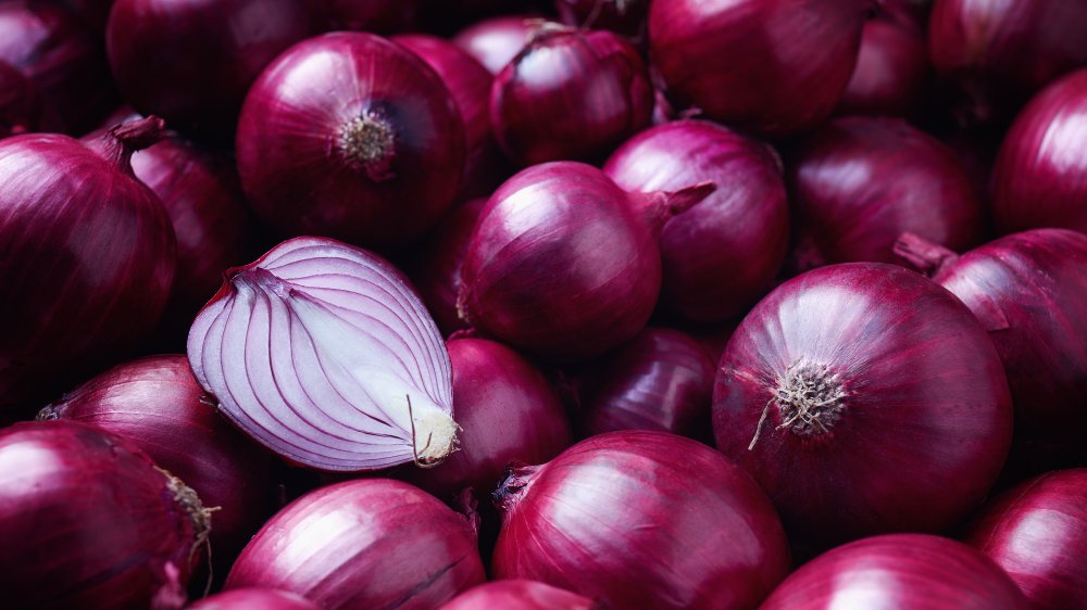 Onion Farming in South Africa and how to start