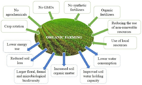 What is Organic Farming and what is its  - Organic Farming South Africa - Farm Smart