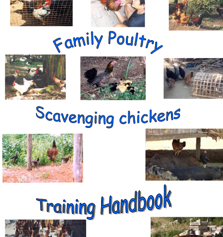Chicken Training Handbook