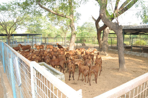 how to start farming with no cash