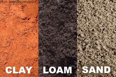 Understanding the Relation of Soil to Plants