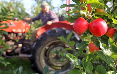 Farming in South Africa - Types of Farming