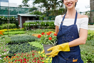 Farm Economics in South Africa