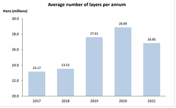 Chicken Farming Stats and Overview South Africa