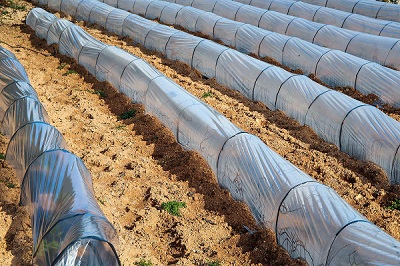 Farming South Africa Plastic Pollution